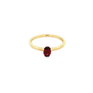 9ct Yellow & White Gold Solitare Ring Featuring an Oval Garnet