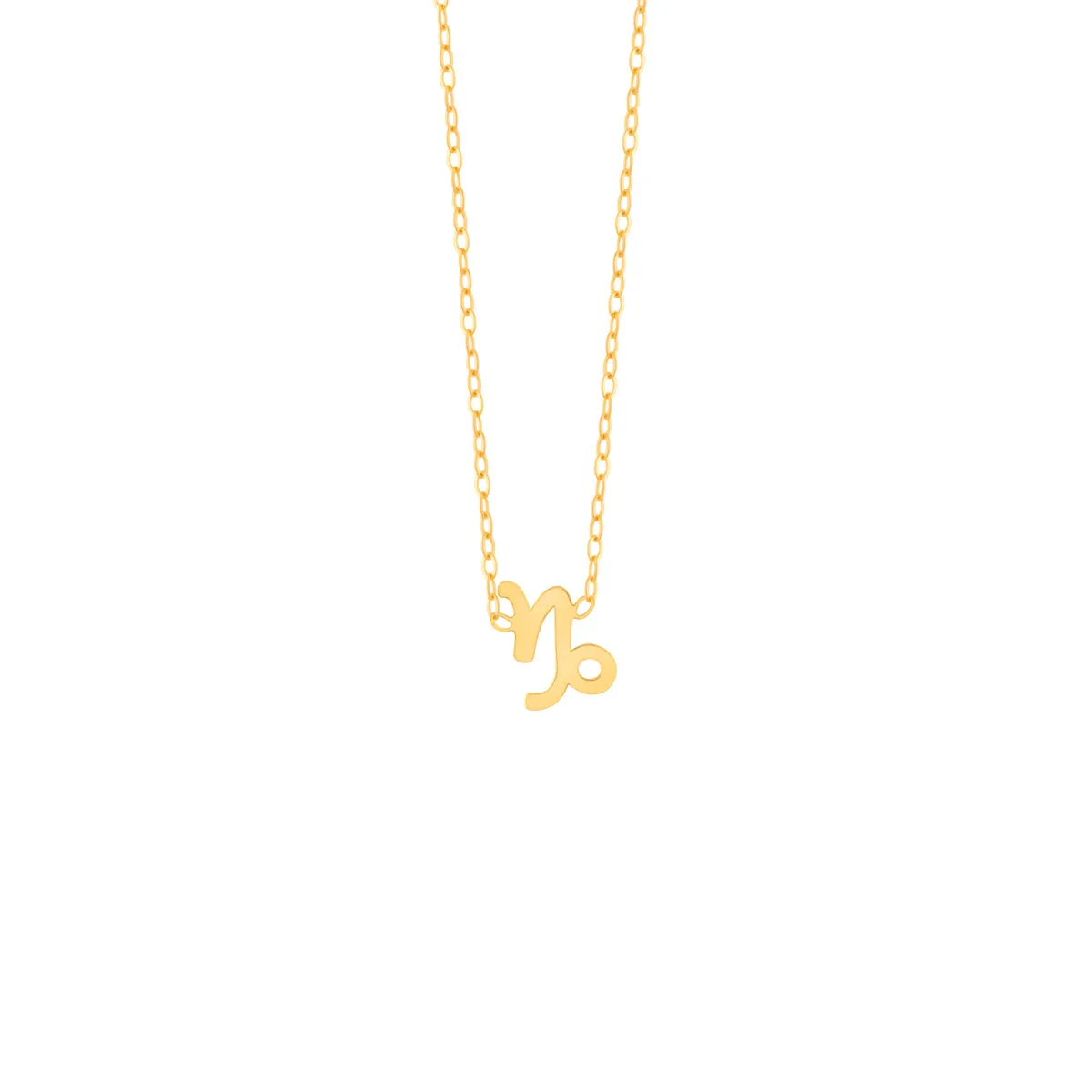 Capricorn Zodiac Sign Necklace