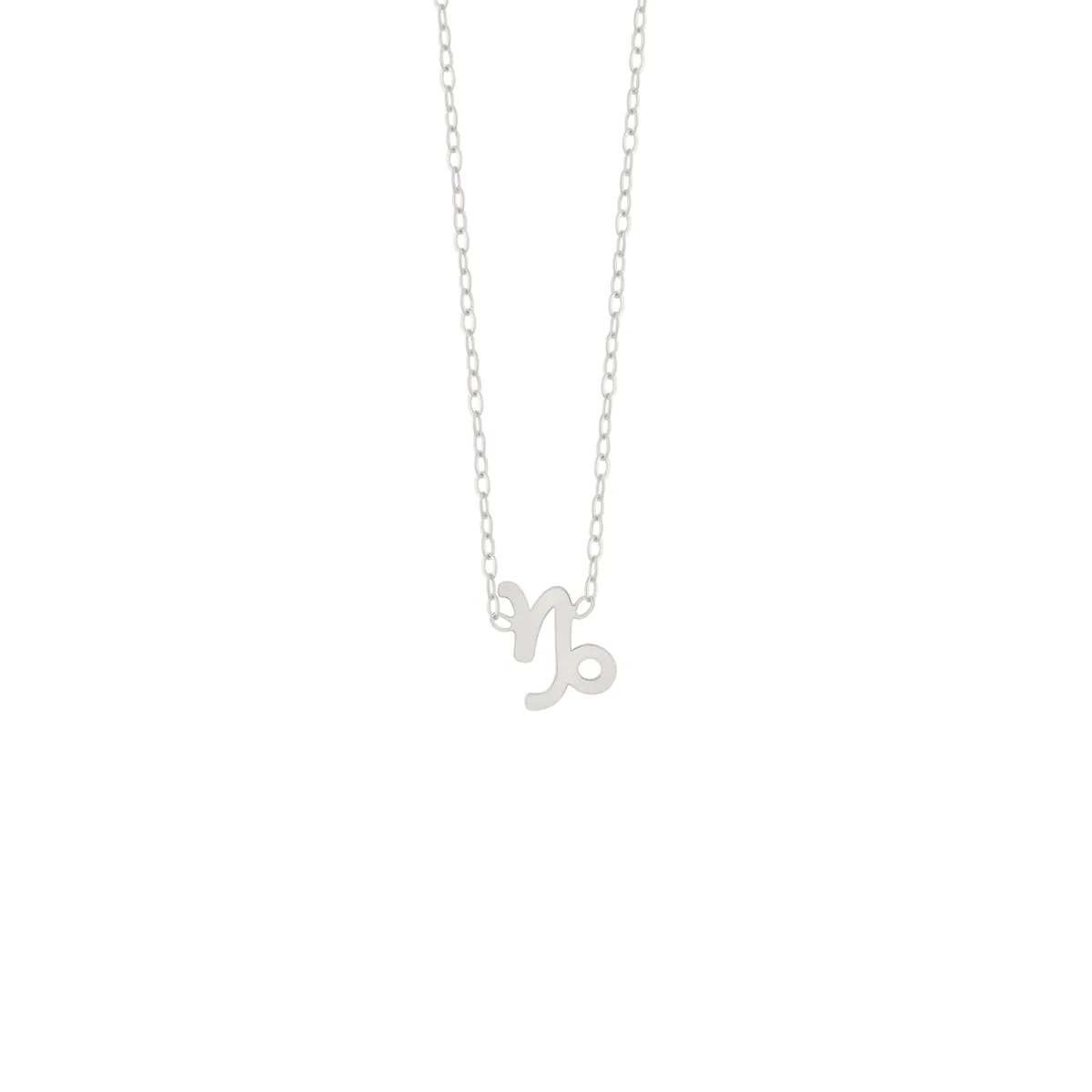 Capricorn Zodiac Sign Necklace