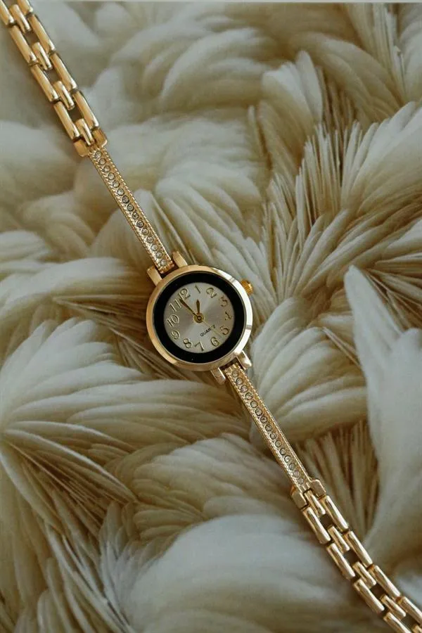 <tc>Montre bracelet pour femme Sacco Gold en métal</tc>
