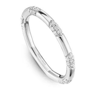 Noam Carver Contemporary Station Style Diamond Wedding Band