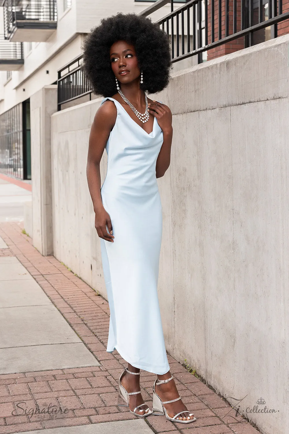 Paparazzi Zi Collection Signature Series The Dana