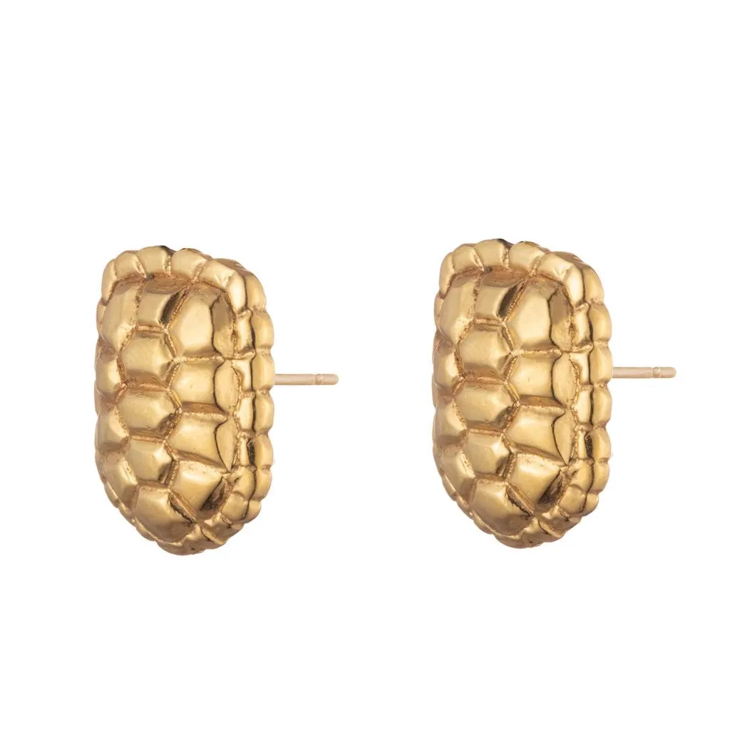 Sahel Gold Tortoise Shell Stud Earrings